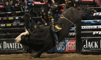 Guilherme Marchi vence em Anaheim
